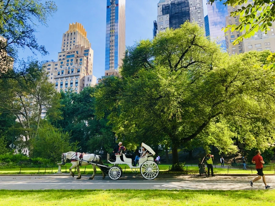 IMG_0081.jpg?type=w966