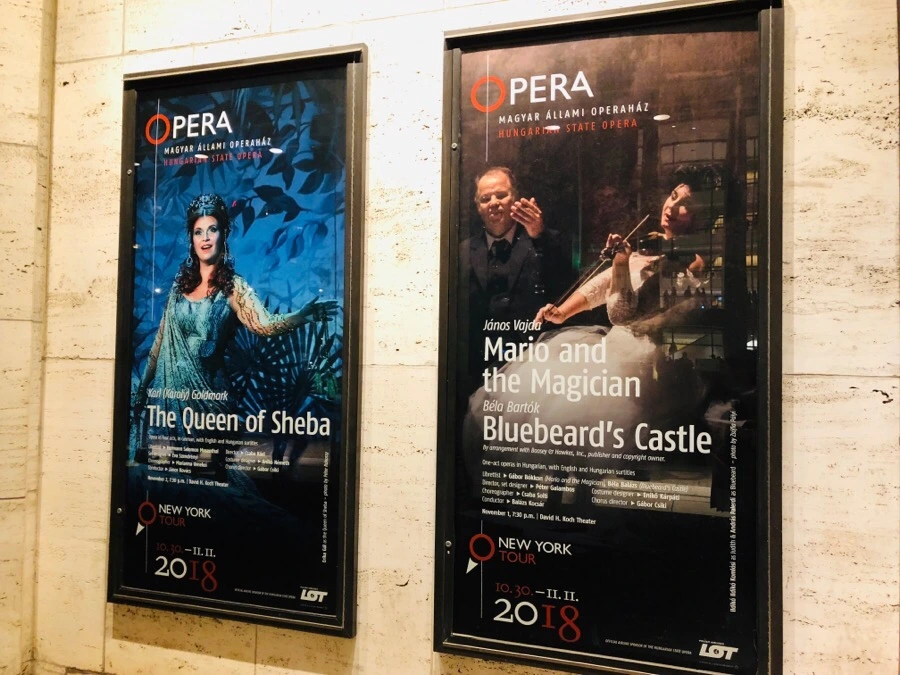 IMG_7361.jpg?type=w966