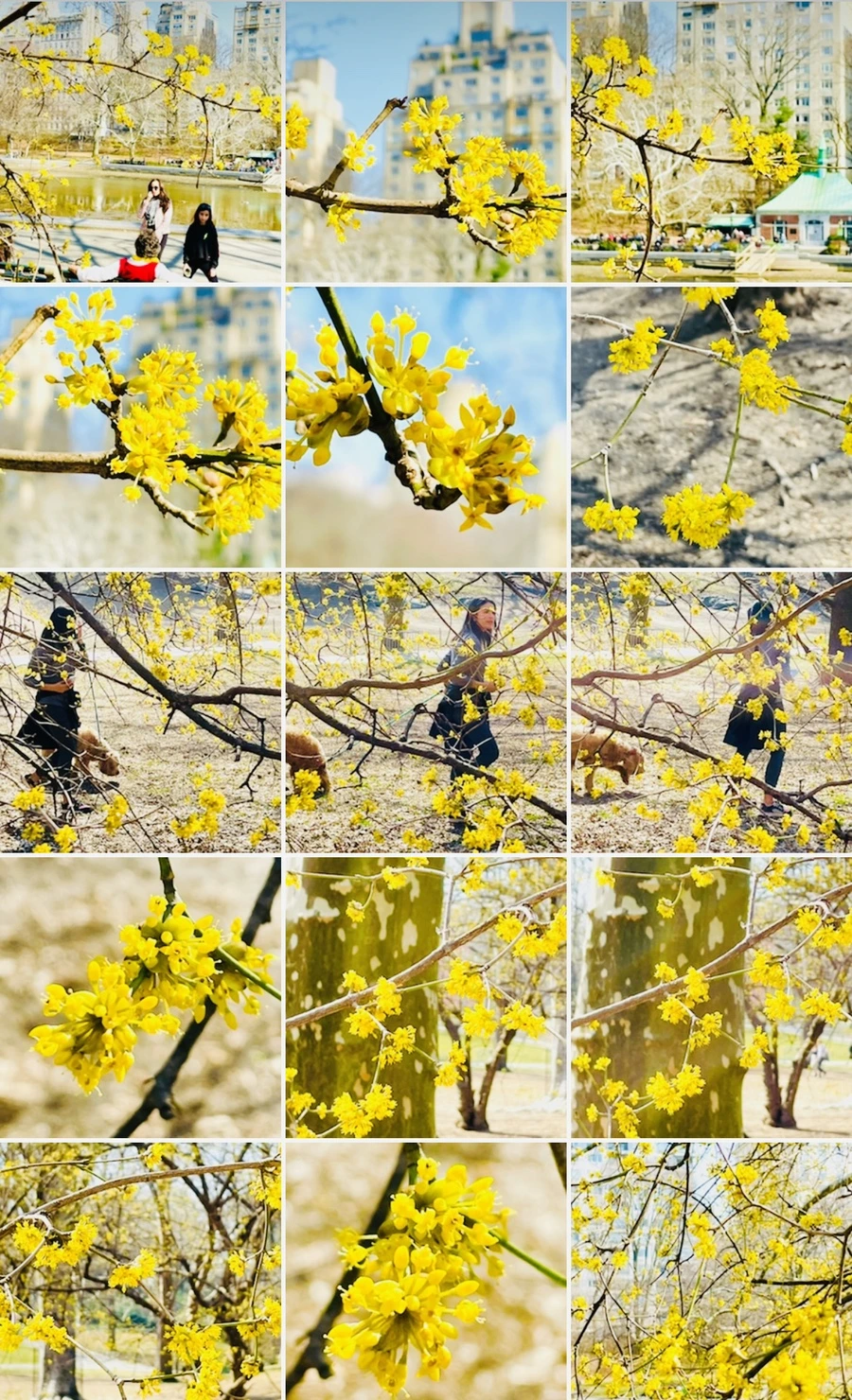 IMG_5653.jpg?type=w966