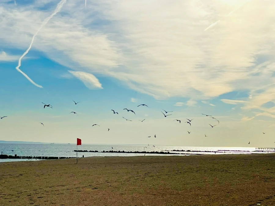 IMG_5061.jpg?type=w966