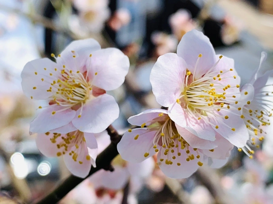 IMG_0980.jpg?type=w966