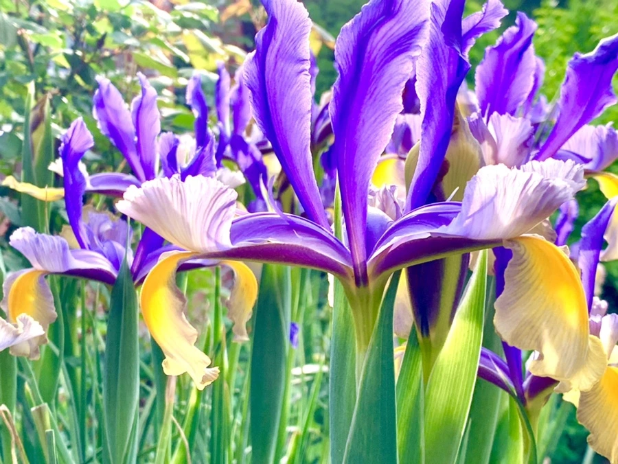 IMG_9089.jpg?type=w966