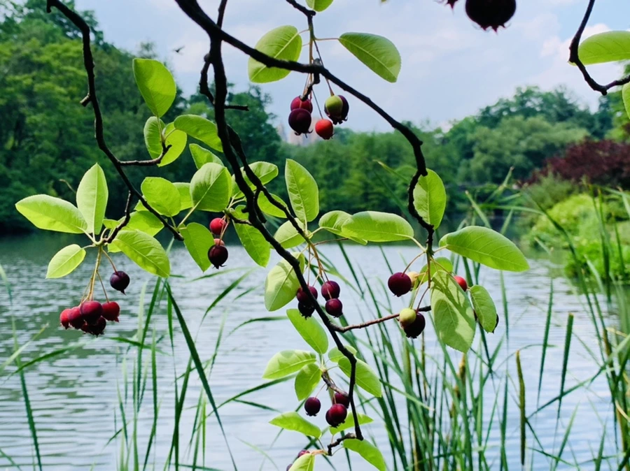 IMG_1627.jpg?type=w966