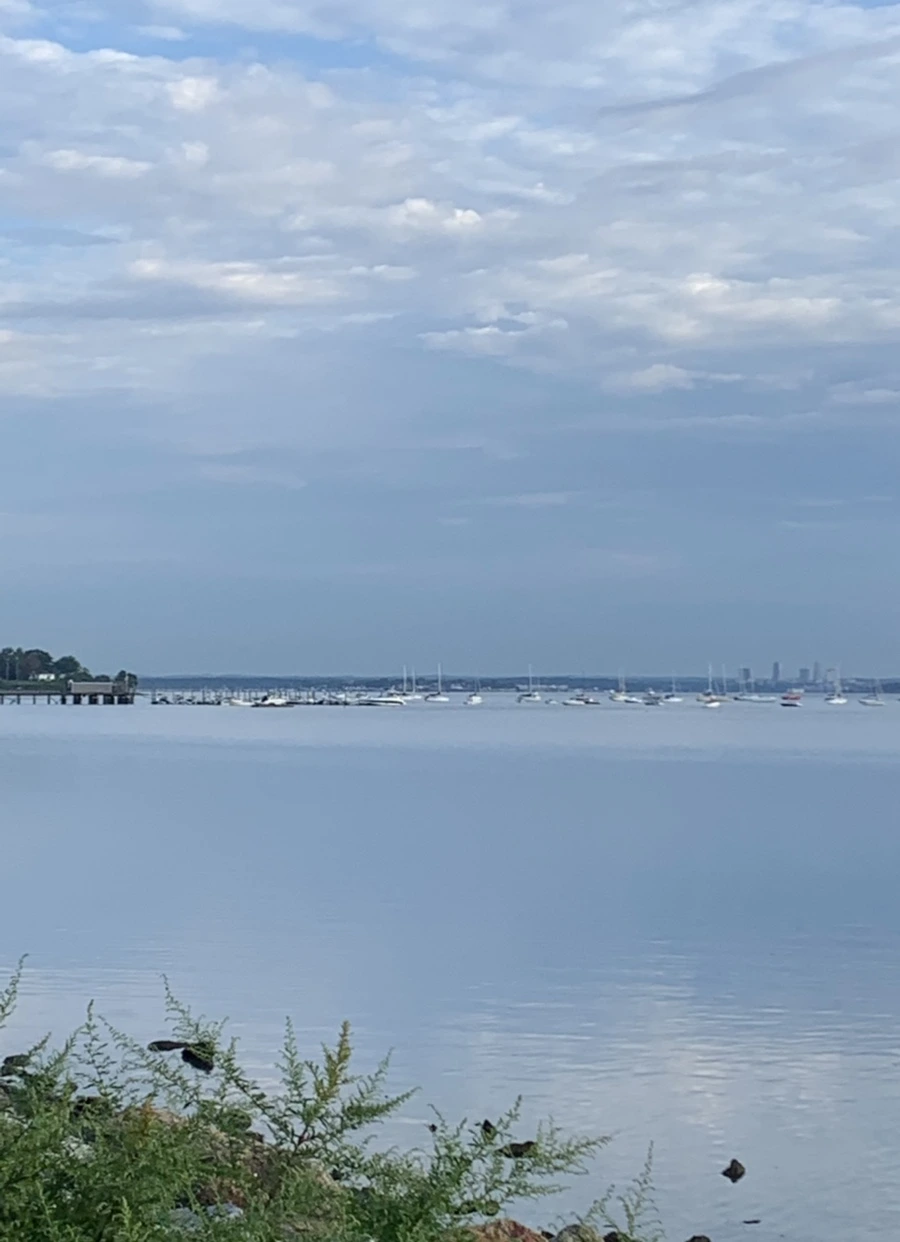 IMG_7740.jpg?type=w966