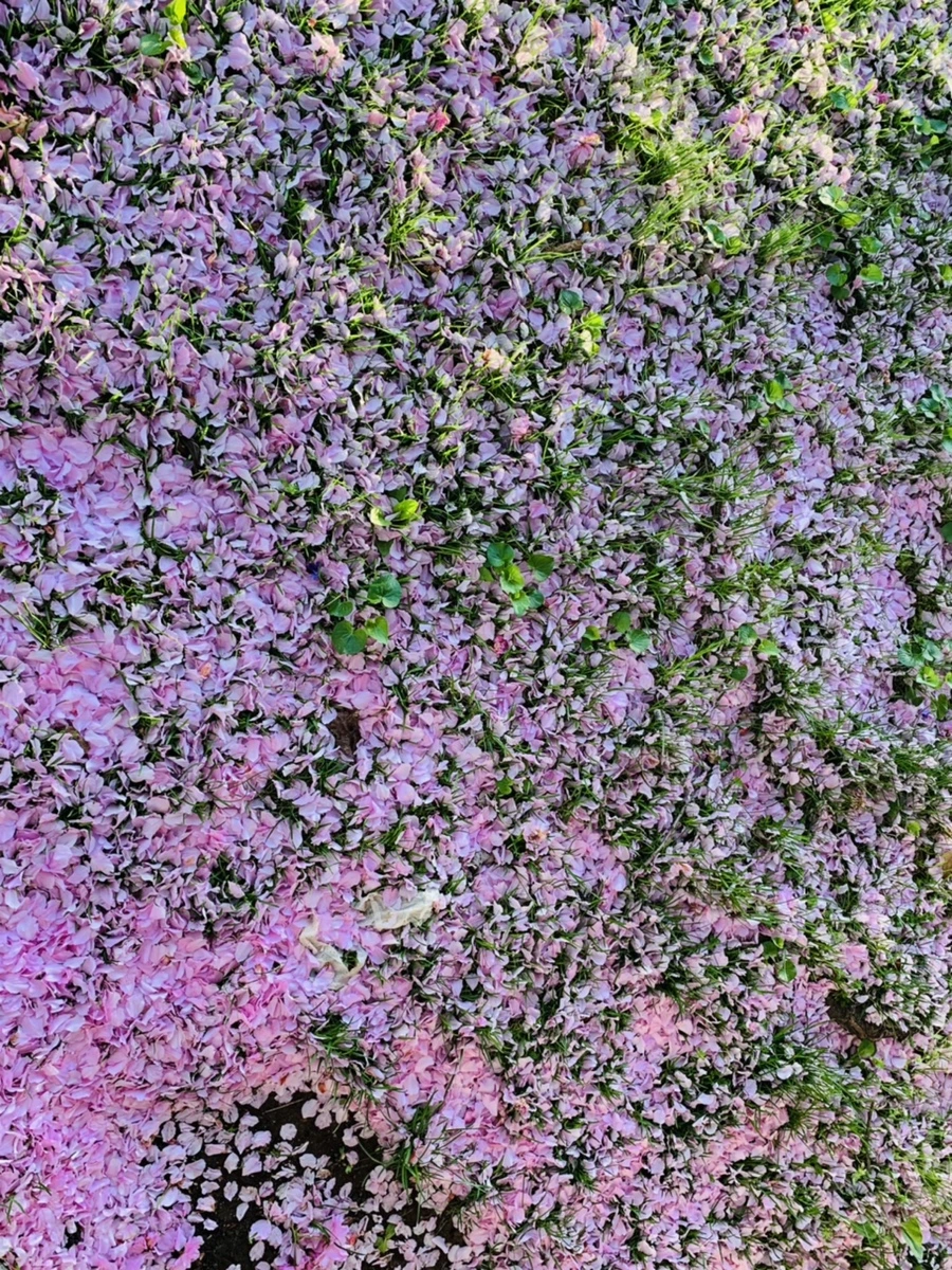 IMG_5514.jpg?type=w966