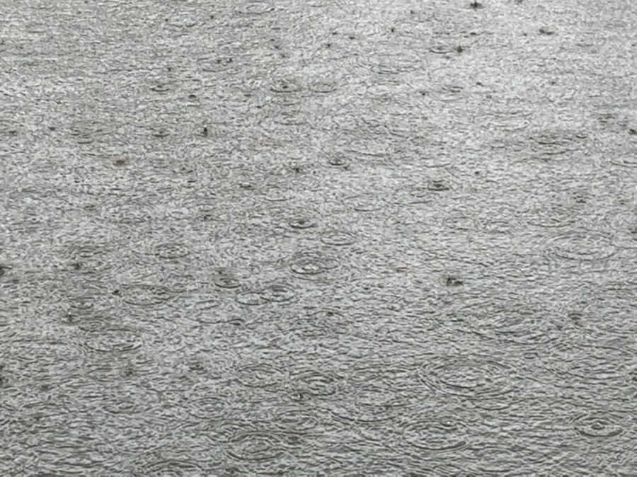 IMG_2057.jpg?type=w966