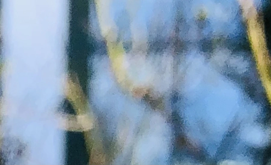 IMG_1390.jpg?type=w966