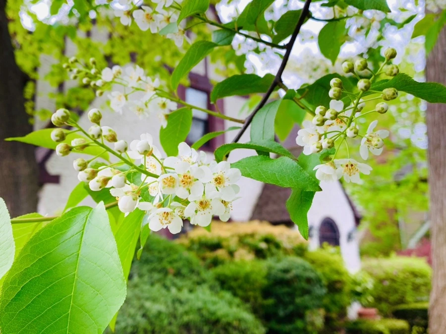 IMG_6124.jpg?type=w966