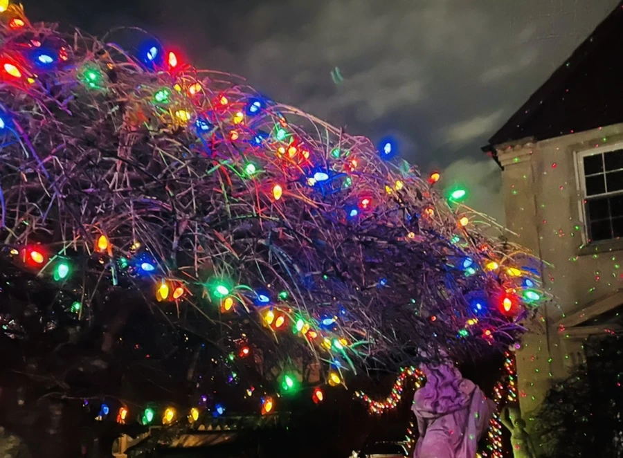 IMG_7565.jpg?type=w966