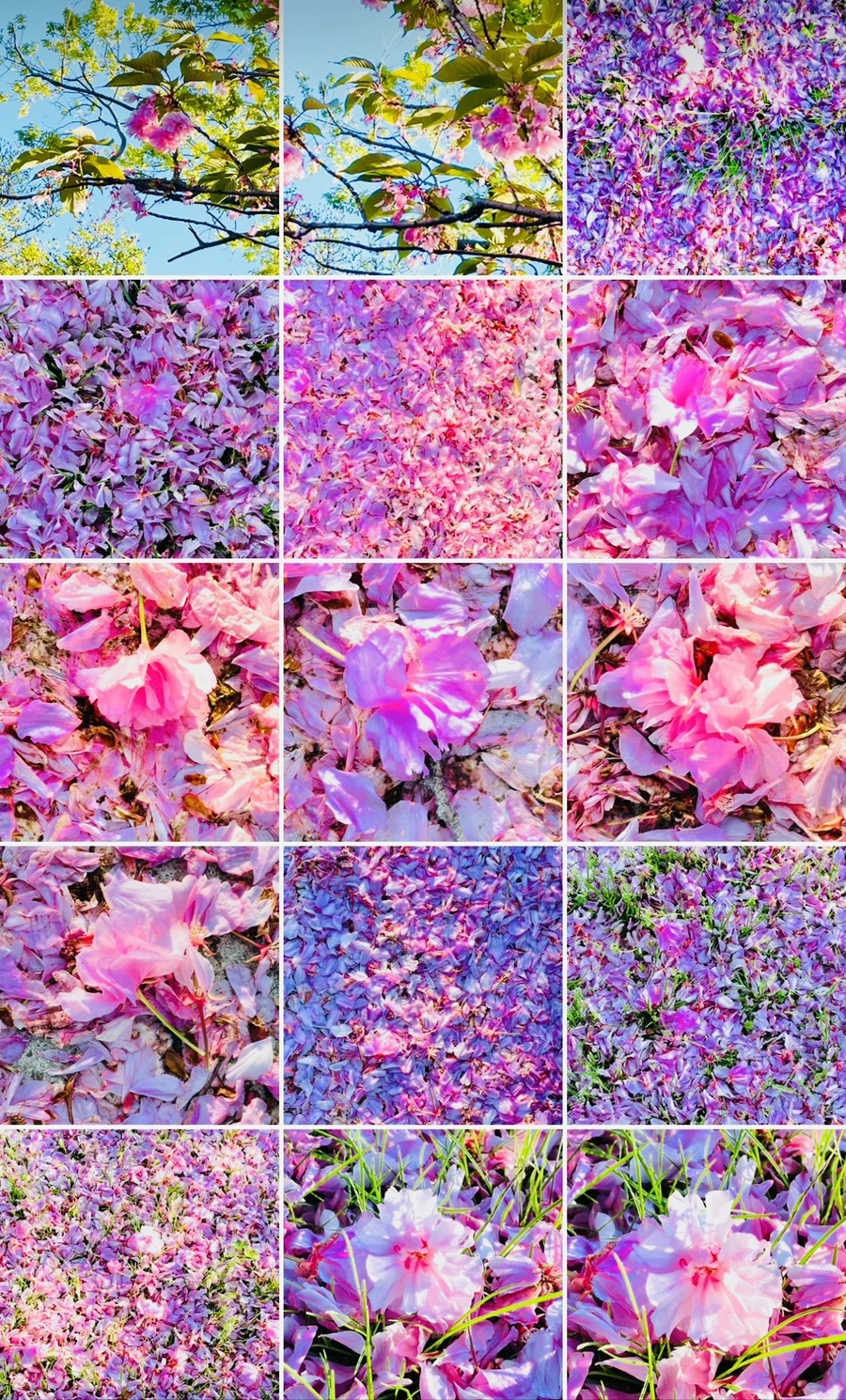 IMG_6191.jpg?type=w966