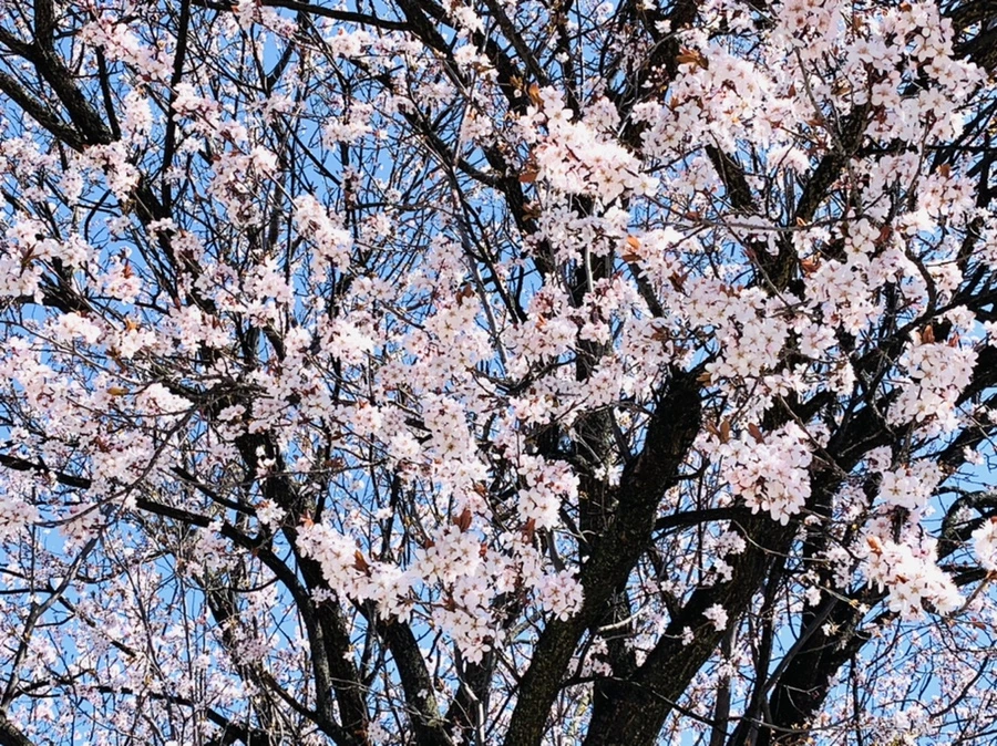 IMG_7948.jpg?type=w966