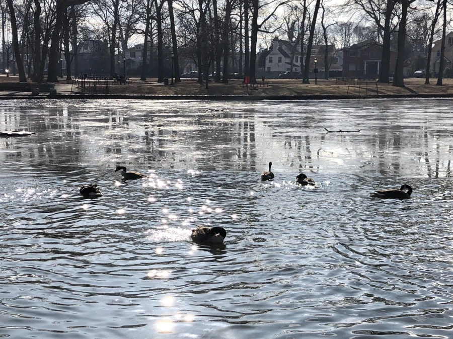 IMG_9258.jpg?type=w966