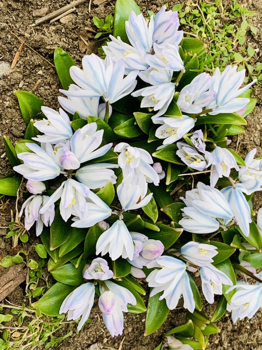 IMG_1714.jpg?type=w966