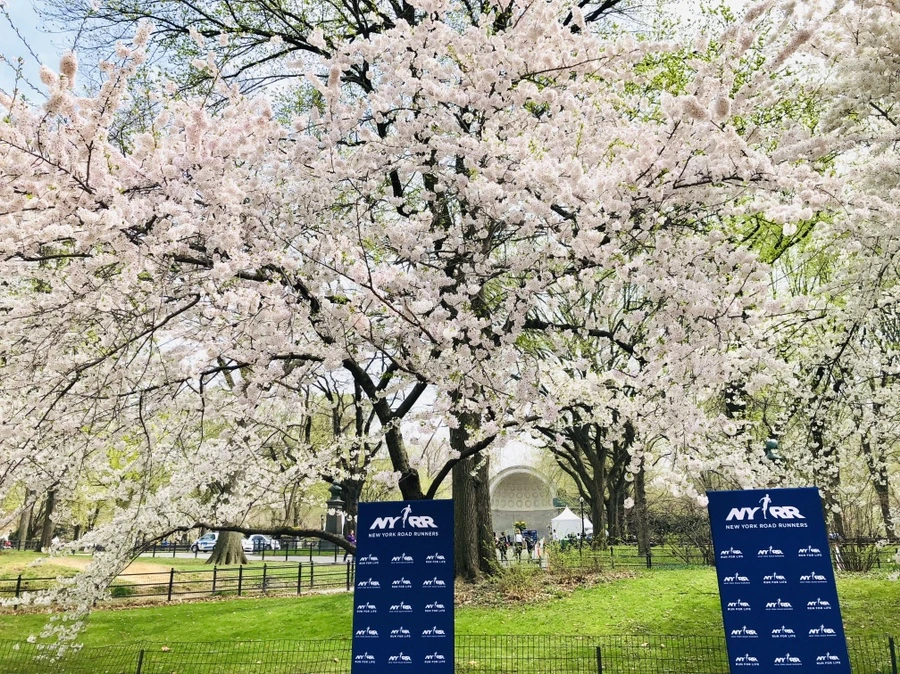 IMG_2942.jpg?type=w966