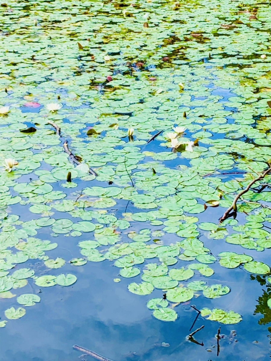 IMG_9319.jpg?type=w966