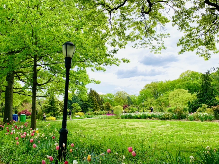 IMG_1314.jpg?type=w966