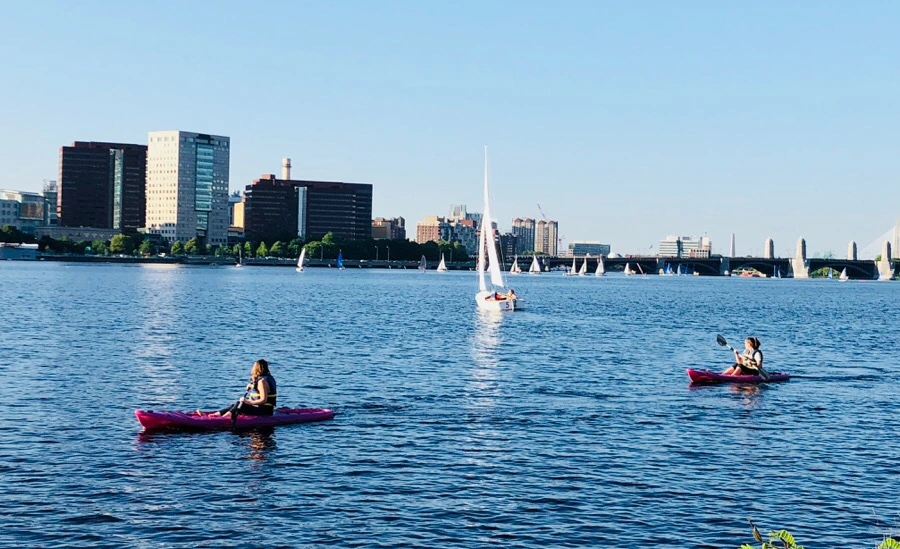 IMG_6785.jpg?type=w966