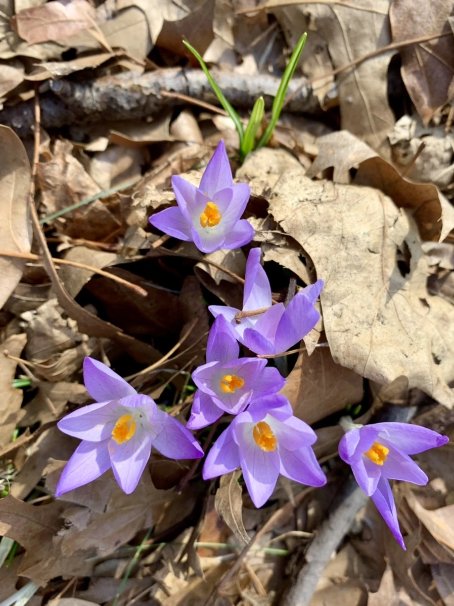 IMG_0125.jpg?type=w966