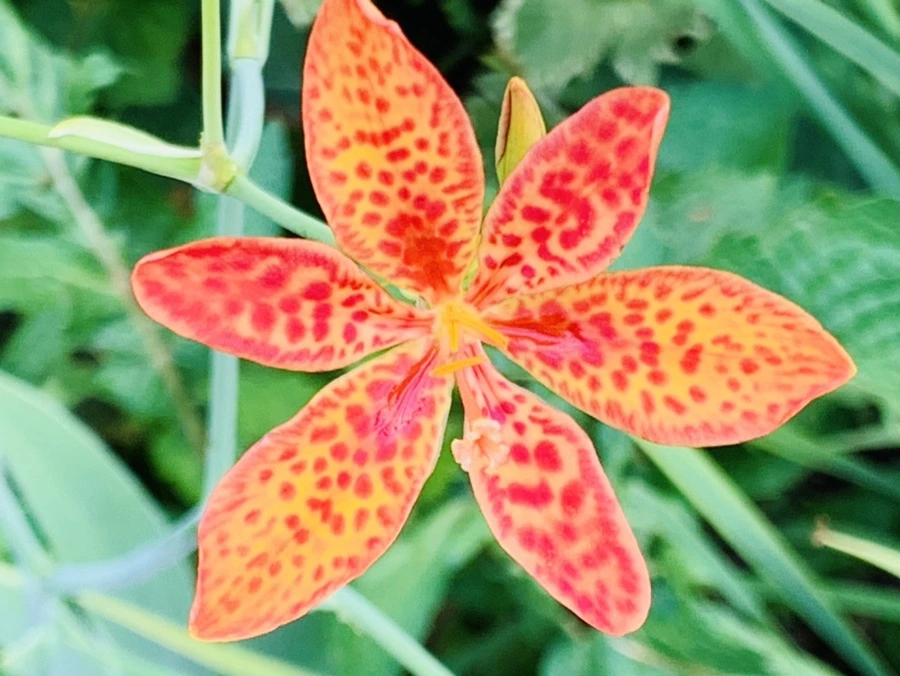 IMG_9412.jpg?type=w966