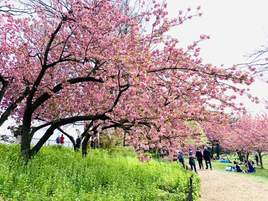 IMG_5177.jpg?type=w966