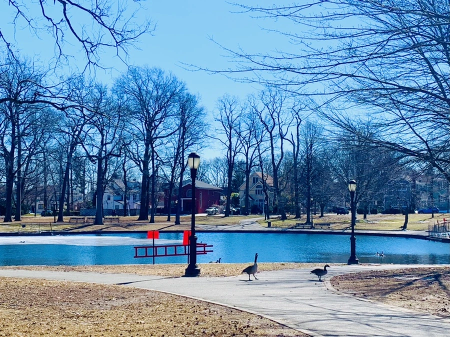 IMG_6859.jpg?type=w966