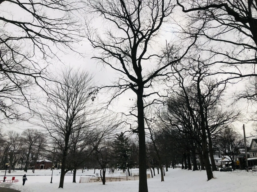 IMG_2626.jpg?type=w966