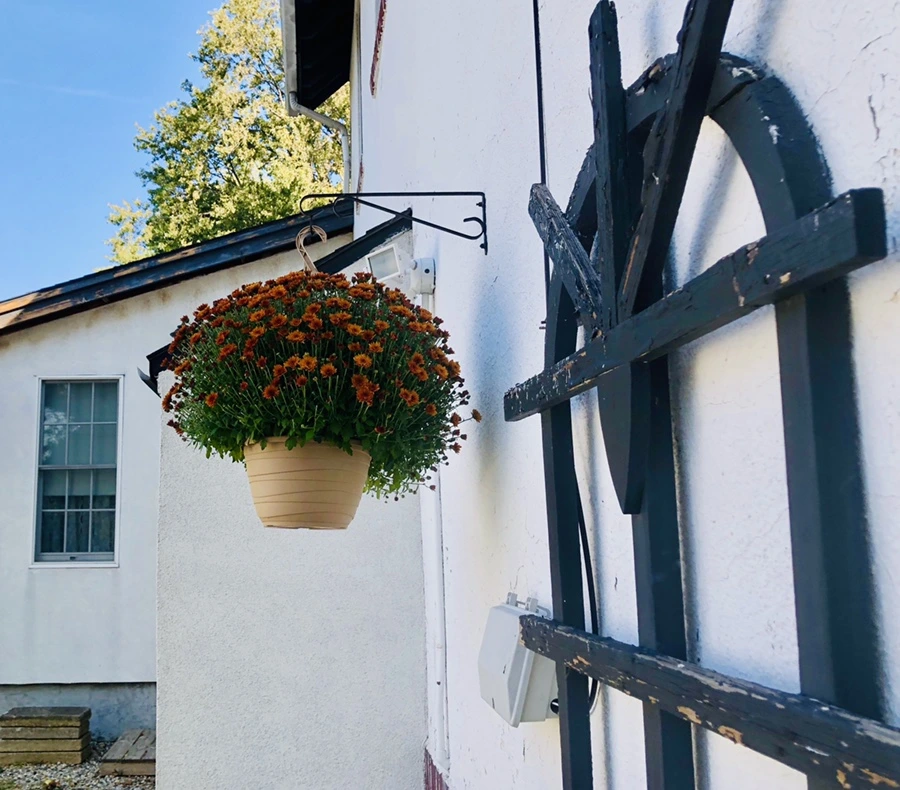 IMG_1898.jpg?type=w966