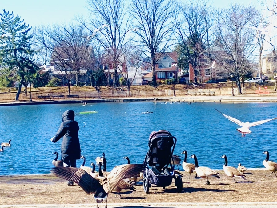 IMG_6679.jpg?type=w966