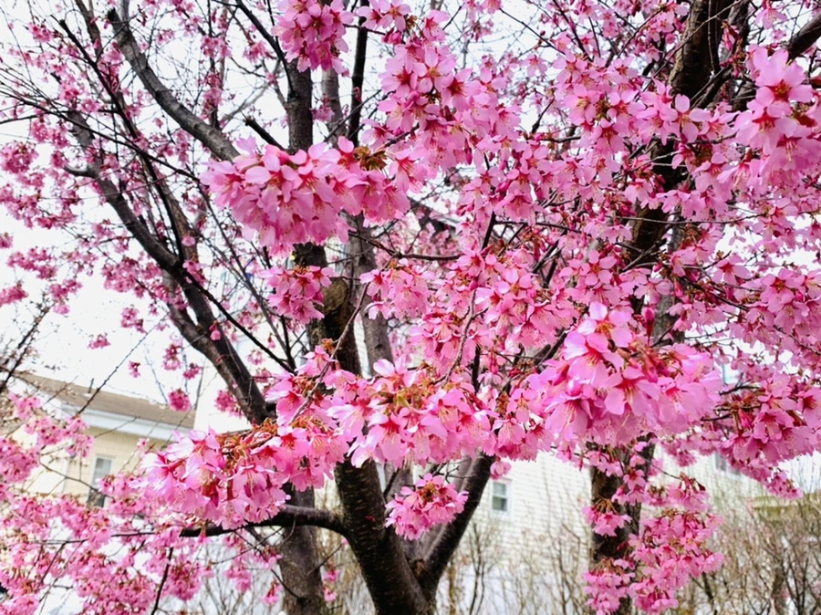 IMG_5900.jpg?type=w966