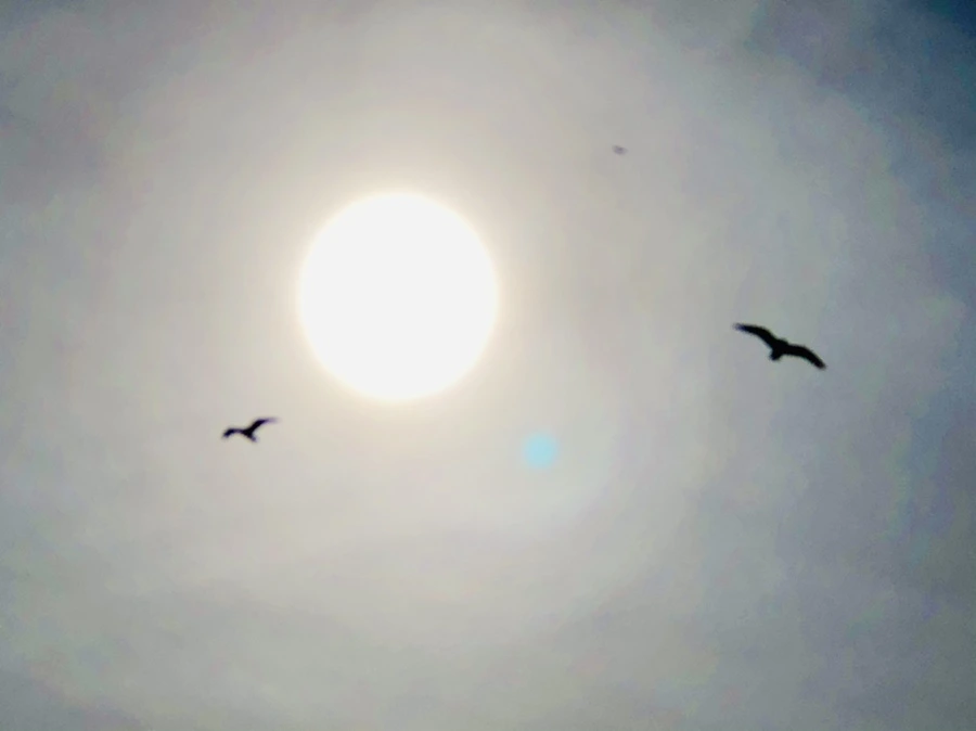 IMG_3177.jpg?type=w966