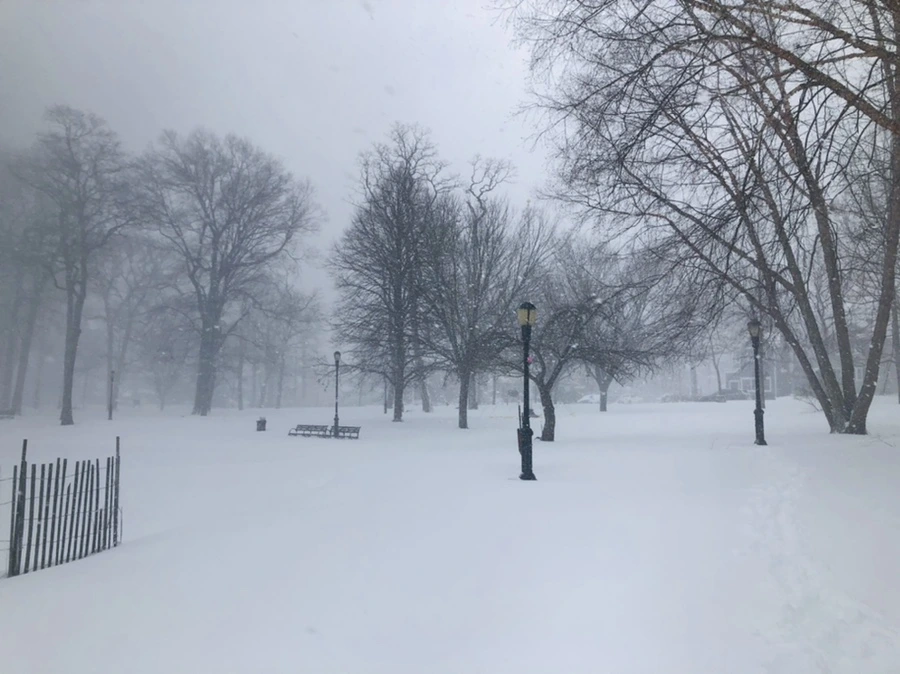 IMG_8822.jpg?type=w966