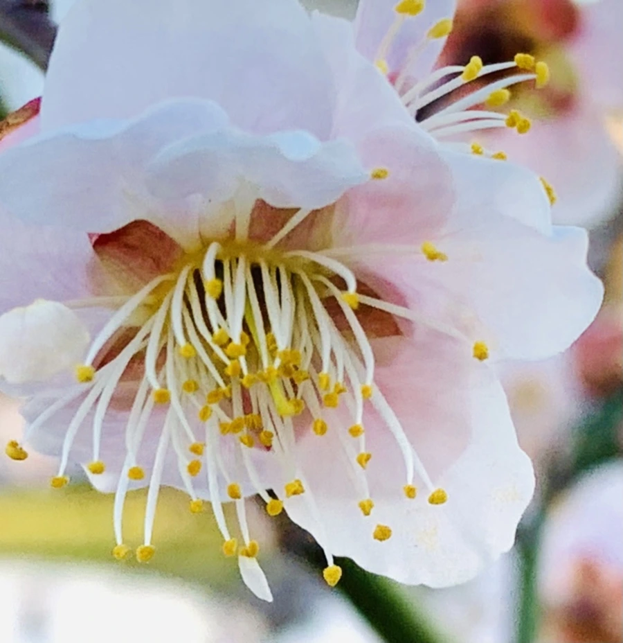 IMG_0776.jpg?type=w966