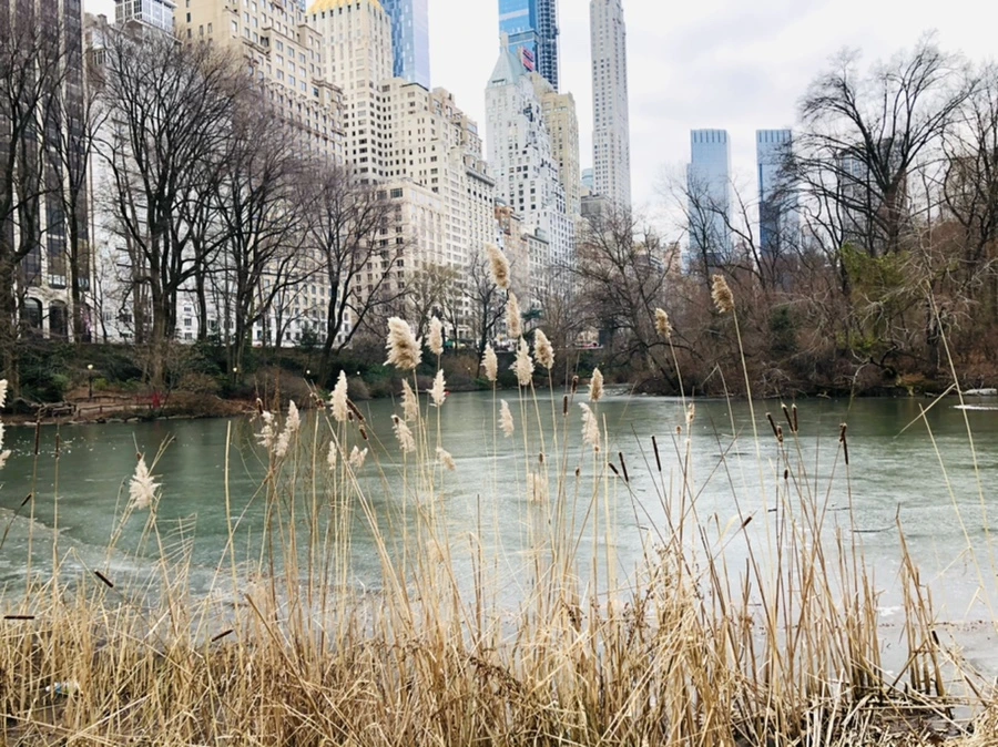 IMG_2413.jpg?type=w966