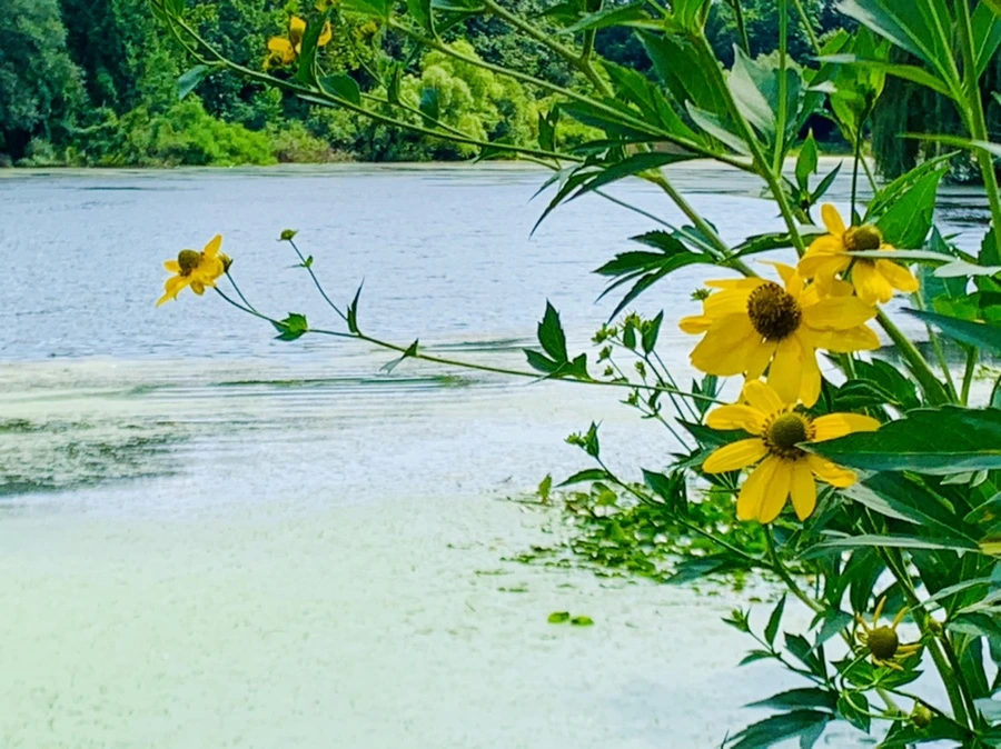 IMG_7610.jpg?type=w966