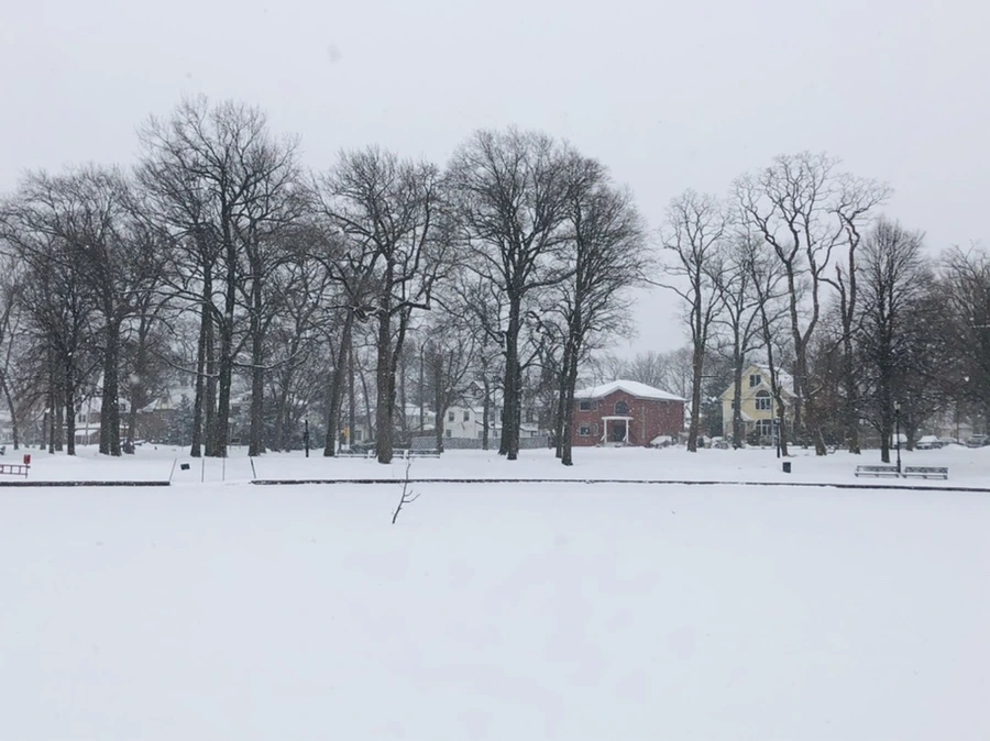 IMG_3357.jpg?type=w966