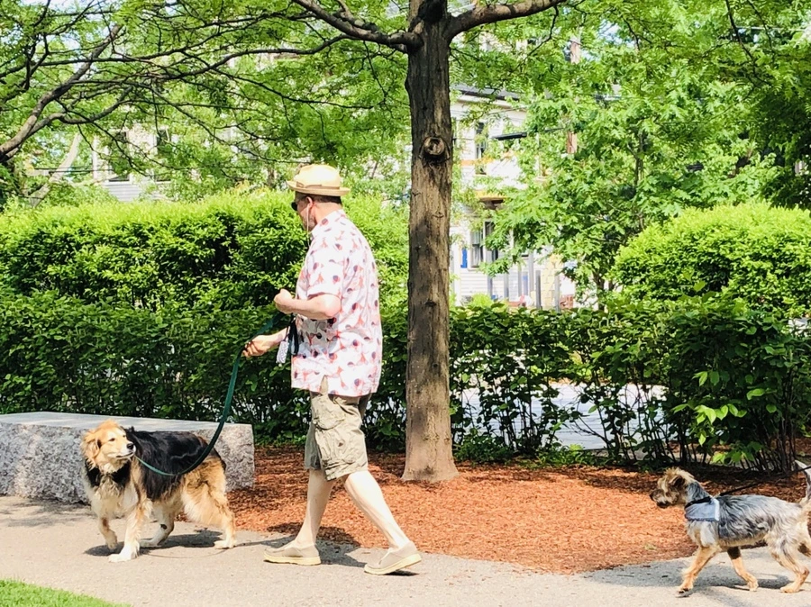 IMG_5425.jpg?type=w966