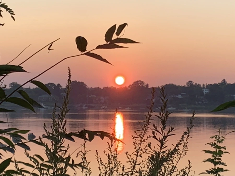 IMG_4415.jpg?type=w966