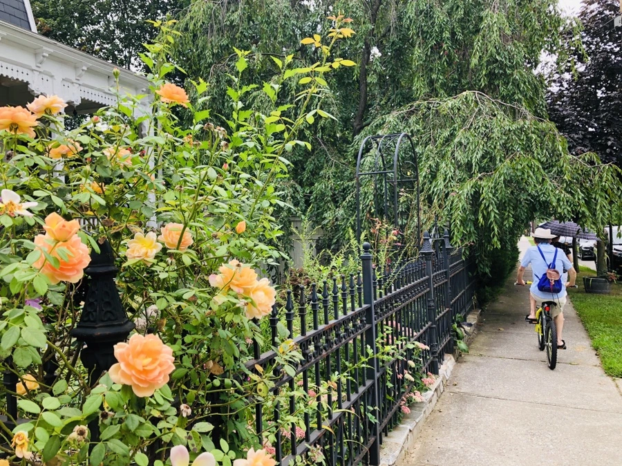 IMG_8667.jpg?type=w966