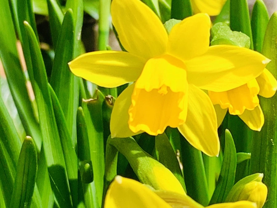 IMG_3270.jpg?type=w966