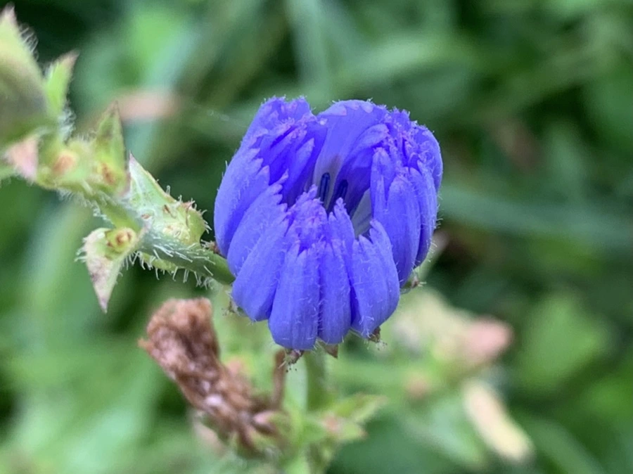 IMG_4465.jpg?type=w966