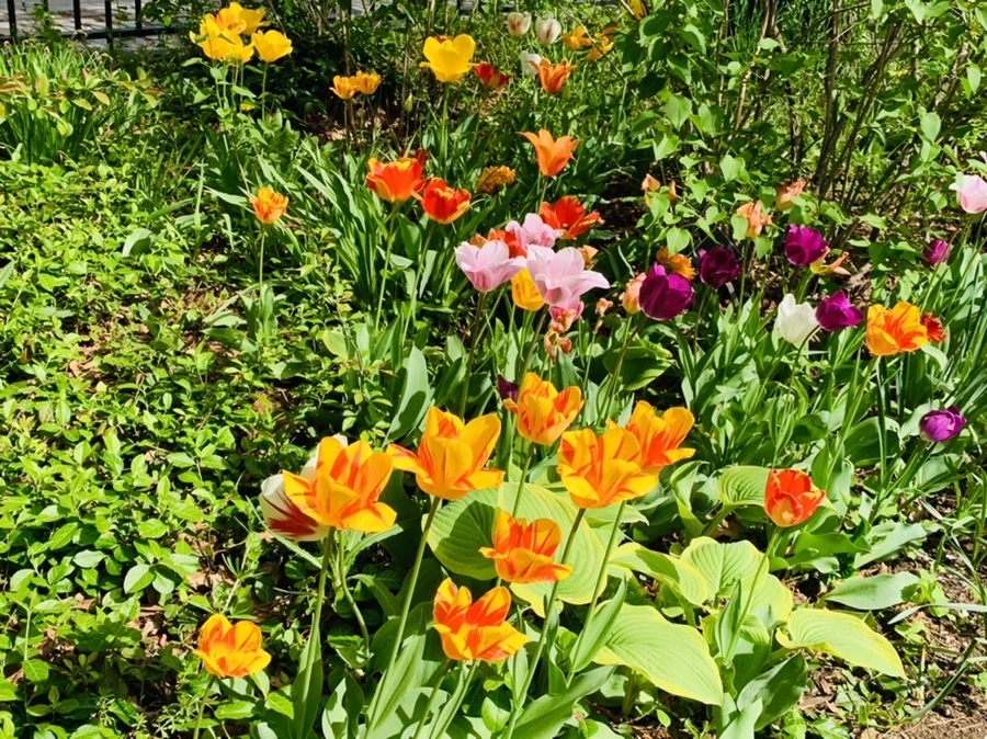 IMG_6865.jpg?type=w966