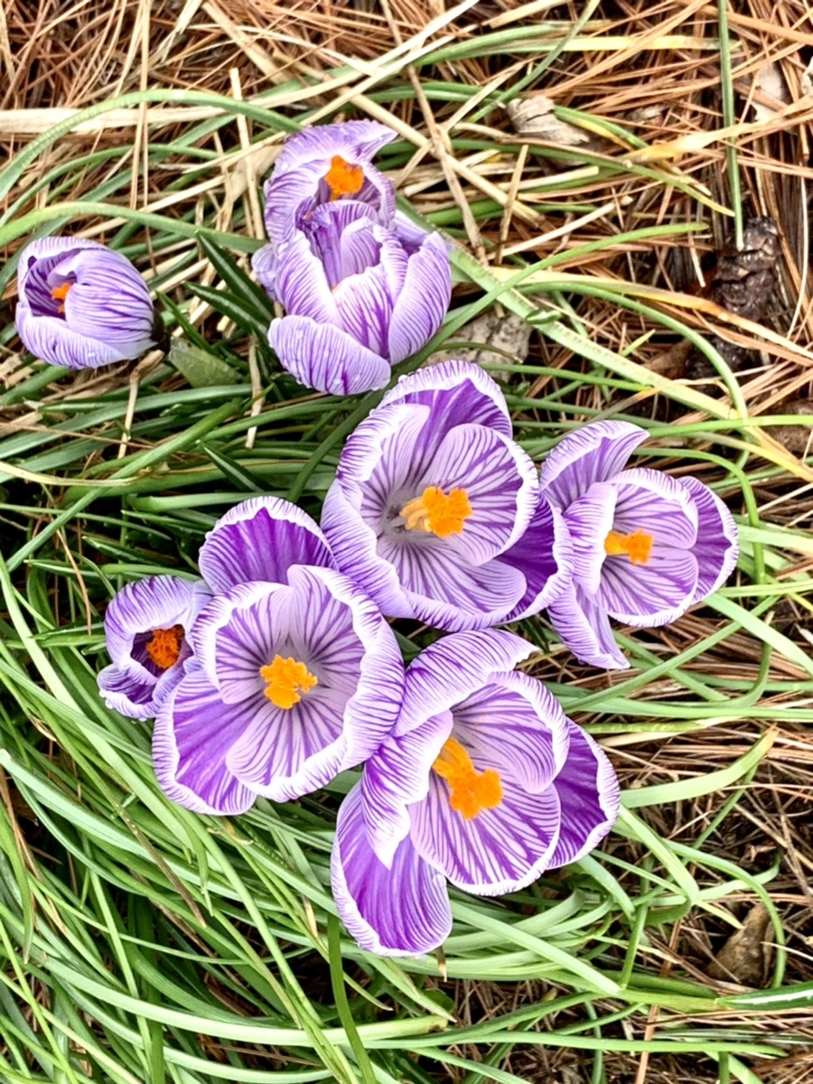 IMG_3792.jpg?type=w966