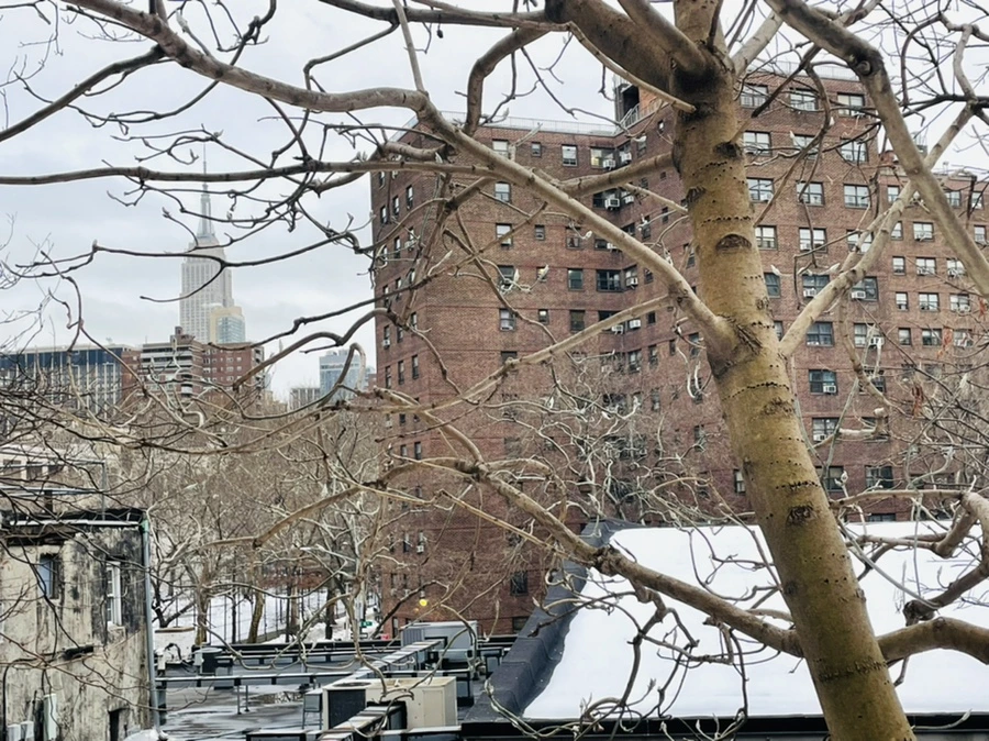 IMG_1291.jpg?type=w966