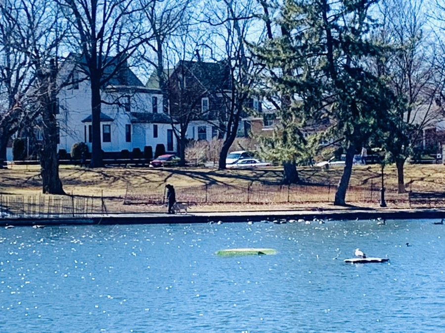 IMG_7562.jpg?type=w966