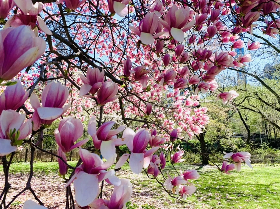 IMG_1637.jpg?type=w966