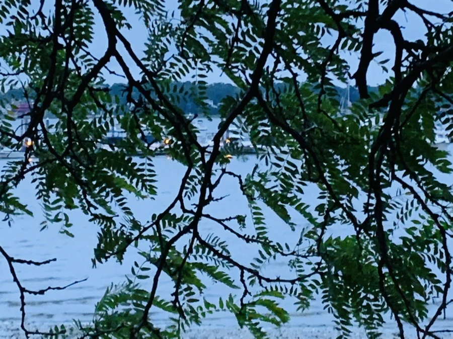 IMG_6750.jpg?type=w966