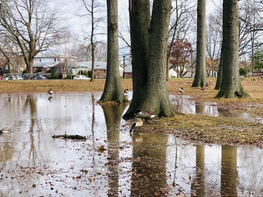 IMG_9918.jpg?type=w966