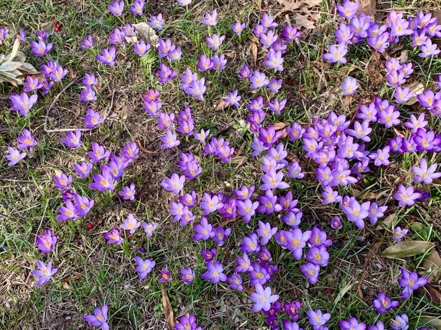 IMG_0282.jpg?type=w966