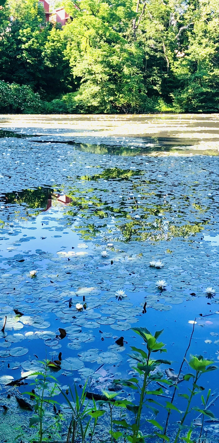 IMG_9832.jpg?type=w966