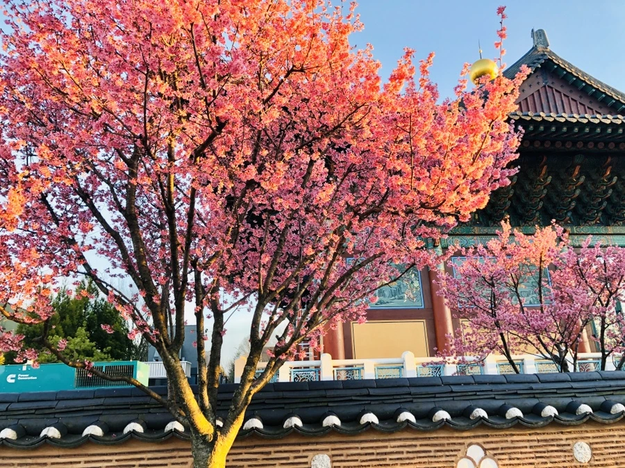 IMG_6328.jpg?type=w966